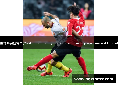 180万欧元!中国成为最高身价球员的塞鸟 比武磊第二(Position of the highest valued Chinese player moved to Seabird as Wu Lei took second place)